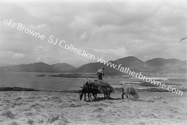 LOUGH ALLEN FROM S. TAKEN FROM DRUMISHANBO TO ARIGNA ROAD WHERE GREAT DAM IS TO BE ERECTED FOR SHANNON SCHEME DEVELOPMENT